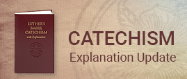 Catechism update