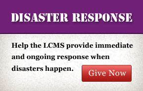 Disaster Response