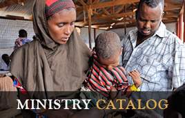 Landing - Medium Primary 268px