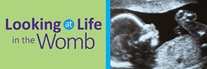 Find LCMS U Chapters