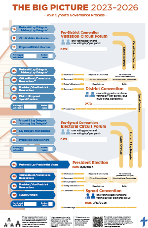 The Big Picture - Infographic