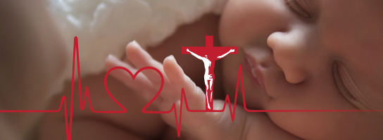 LCMS National Mission leaders issue call to action on abortion, calling now the time to end abortion in the United States altogether.