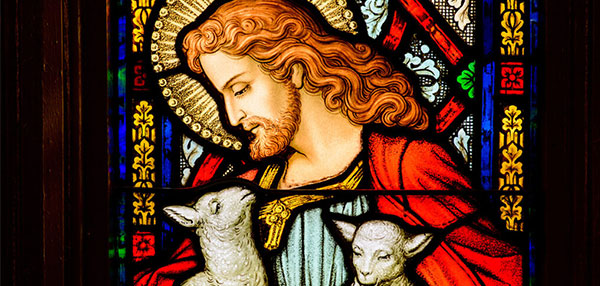 The LCMS continues to respond to the need for resources to support mental health and combat suicide, including a new book titled I Will Grieve for the Suicide.