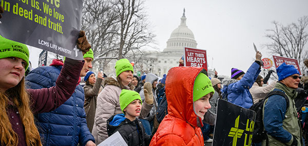 See a collection of photographs of LCMS and partner church altars from around the world.