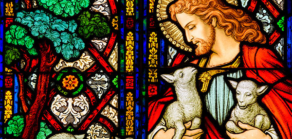 Spiritual Care: A Primer -- A new course from LCMS Specialized Spiritual Care Ministry equips you to show the love of Jesus to the people in your life.