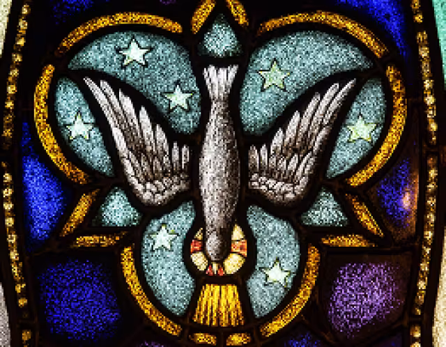 Dove stained glass
