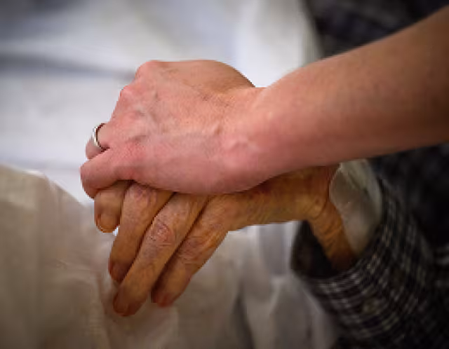 Hands
